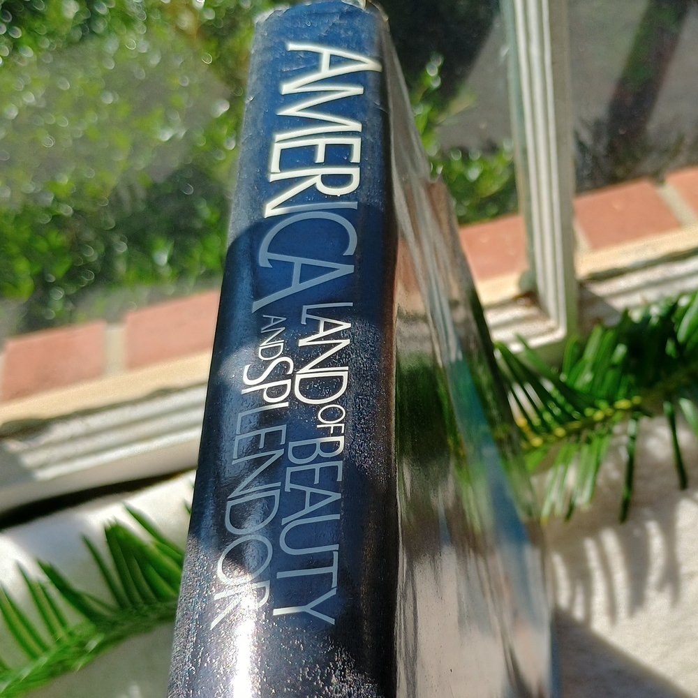 Coffee Table Copy Of America Land Of Beauty And Splendor, MCM Decor - Picture 3 of 9